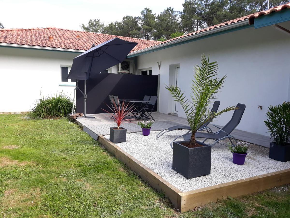 Chambre D'Hotes Du Pin Pey Dış mekan fotoğraf